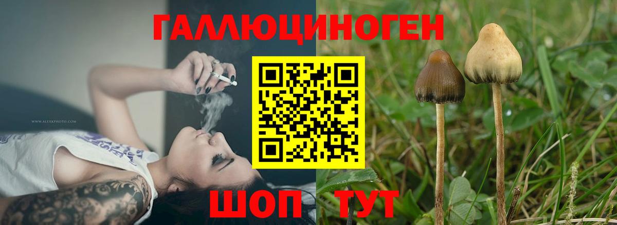 Псилоцибиновые грибы MAGIC MUSHROOMS  Вход с VPN  Белореченск 